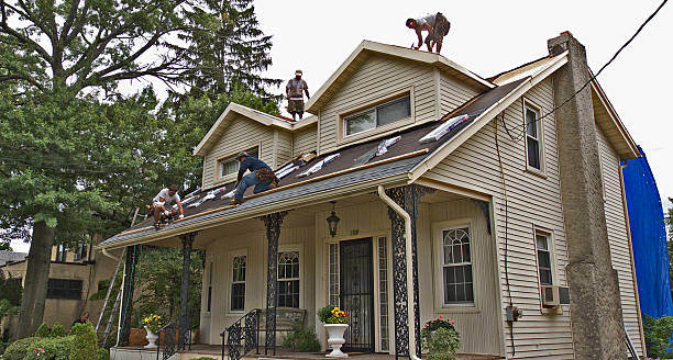 Best Roof Restoration Services  in Captain Cook, HI